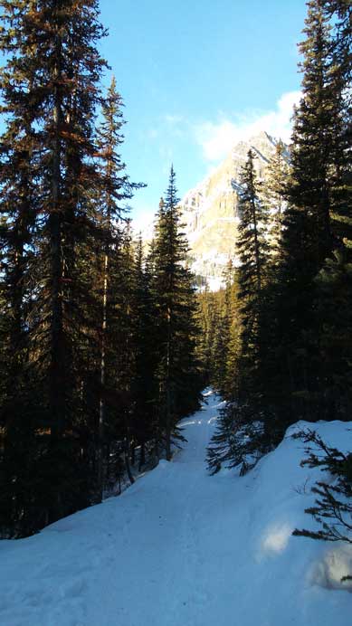 Skiing up the summer approach trail