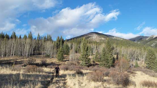 Looking back. What a pleasant afternoon hike. 