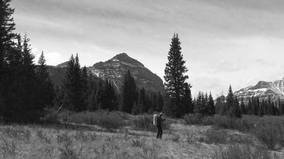 Down to the river flats, looking back towards Warden Rock