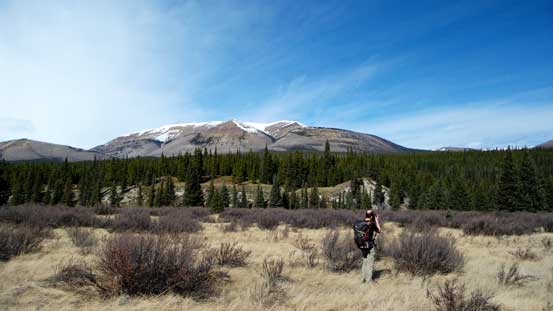 The broad peak ahead is locally known as Well Site Mountain