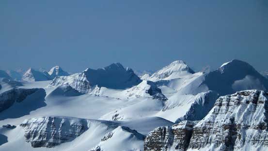 From L to R: Carnarvon, Collie, Des Poilus and Baker