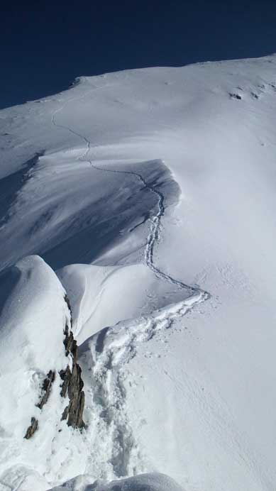 Looking back at my tracks on the upper mountain