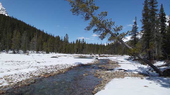 Following Mistaya River out