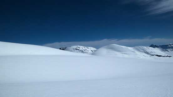 Oh the immense icefield