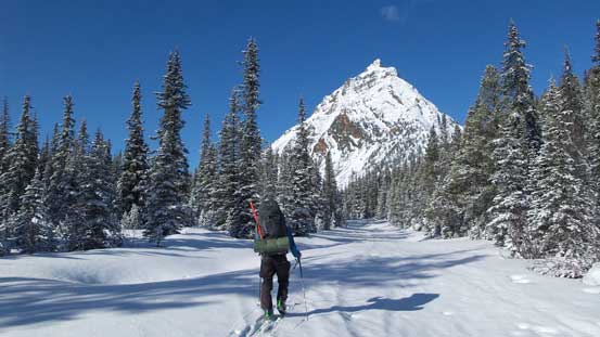 Here's Liam skinning up the creek with Peveril Peak in front