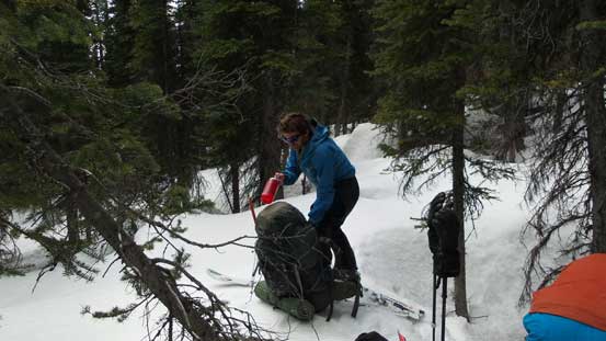 Taking a short break in the miserable bush...