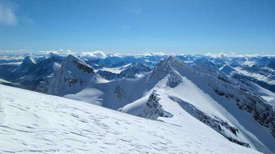 Bennington and McDonell are getting smaller