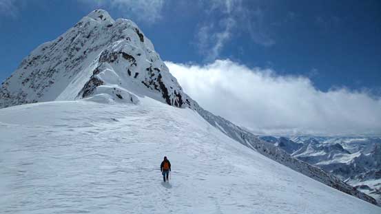 Back to Simon/McDonell col now.