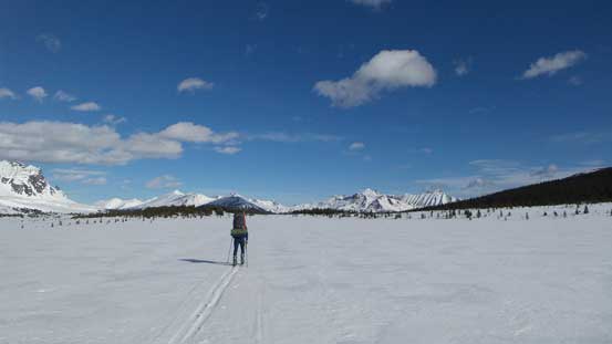 Liam skiing across the flats