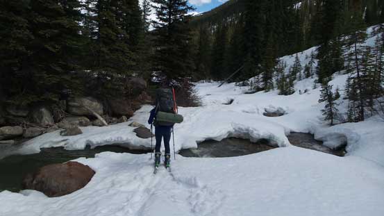 Liam trying to decide if this bridge is okay to cross of not..