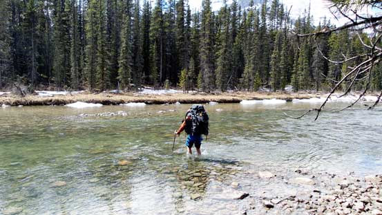 Ben fording Mistaya River - a bit more than knee deep..