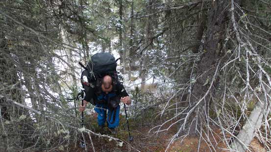It's still very dry by the side of Epaulette Creek