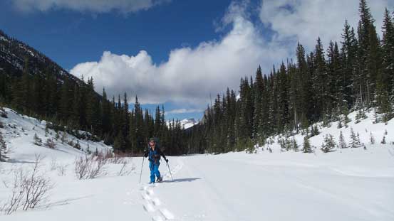 The uppermost Epaulette Creek was still completely snow covered. 