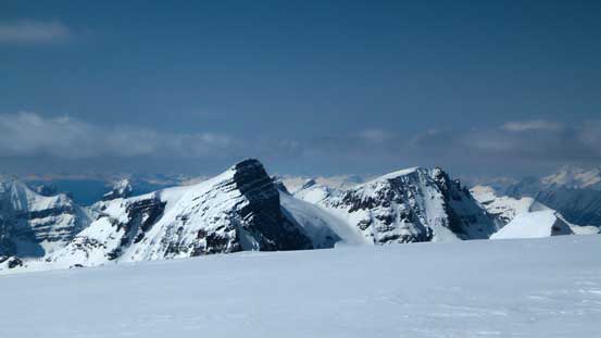 Woolley and Diadem brought back some great memories from last year