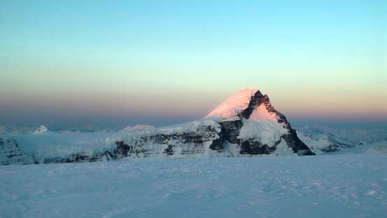 Alpenglow on Mt. Columbia