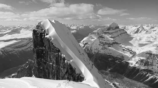 Exciting time ahead!! 