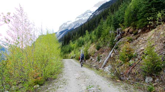 Ben biking along the Rice Brook Road