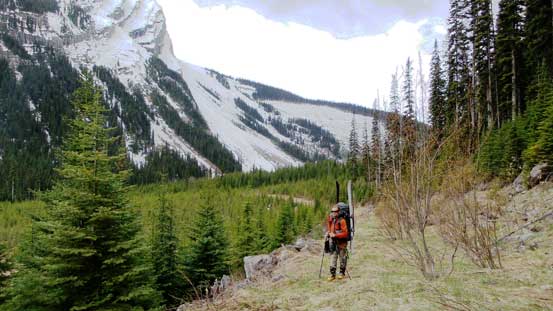 Then, continued along the old logging road for another half an hour