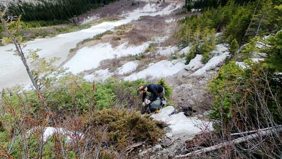 We ventured into the bush briefly. Bit of a mistake as the bush was terrible...
