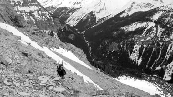 And then, onto the scree...