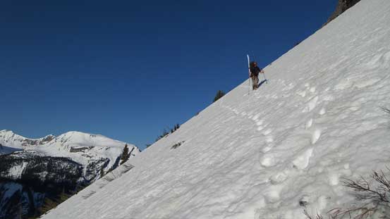 Yet, another slope to traverse...