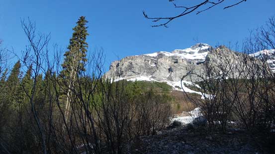 Done the path, looking back