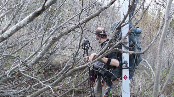 We went a bit off route. Type 3 fun here in the alders...