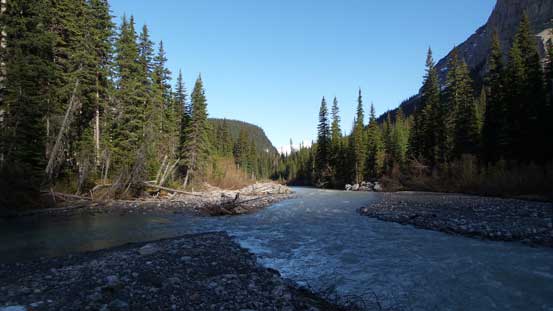 We crossed Rice Brook at a braided section about 100 m upstream from the old bridge site