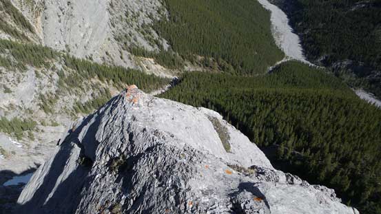 Looking back from just above Pitch 2