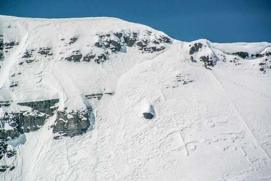 More on the face. Photo by Vern