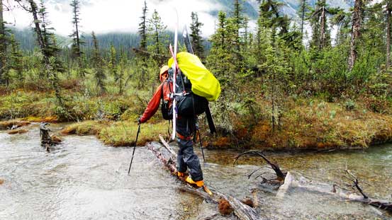 Logs helped a big time negotiating this marshy section