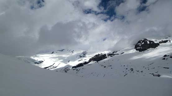 The Lyells were too shy to show up on this day