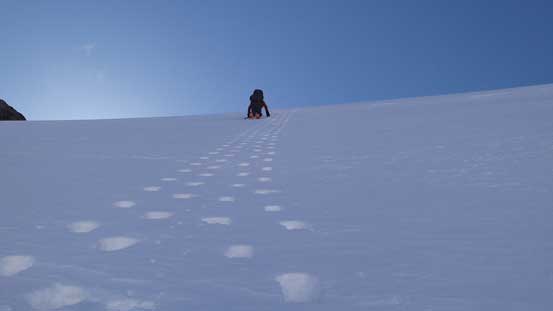 Perfect step-kicking!