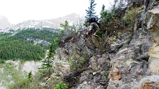 Not the most pleasant trail to descend...