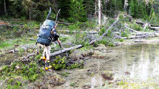 Time for the marshy section