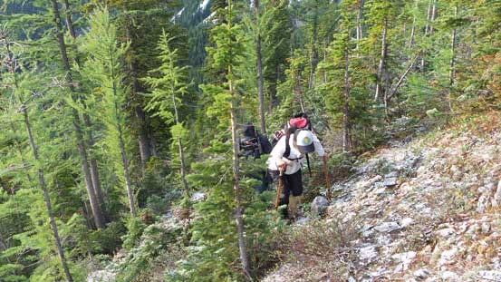 Ascending steep forested terrain