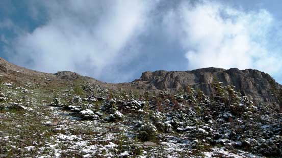 Eventually I went straight up this broad gully