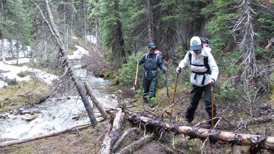 Bushwhacking alongside a small creek