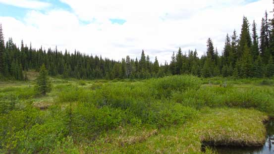 Down to the broad meadows by Elk Pass Trail. Prime bear terrain...