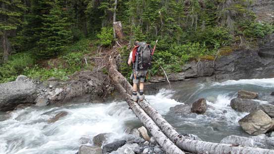 We crossed this log bridge by mistake. Should have gone straight up to exit the trees