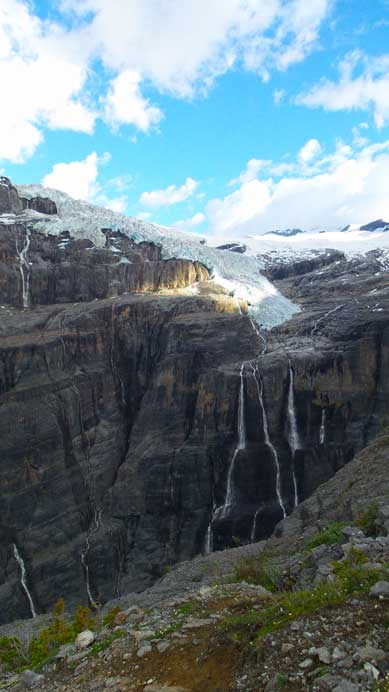 The Lyell Icefield draining the Icefall Brook