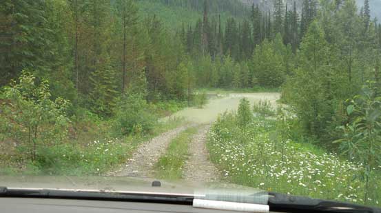 And here's the second crux - the swamp/lake crossing...