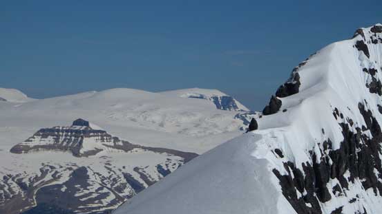 Snow Dome and part of Lyell IV's south ridge