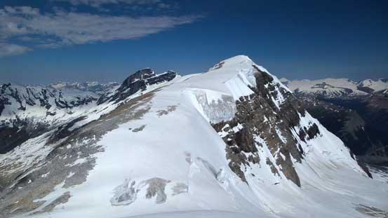 Farbus now looks bigger, but still had a lot of height loss