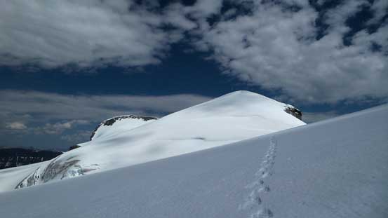 Almost back to Lyell 2/3 col