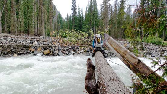 Vern au-cheval across the log bridge