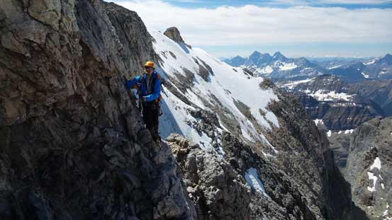 Ferenc picked a different line up