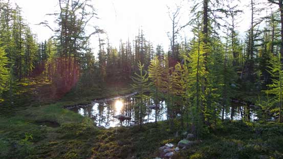 A mini pond with sunbeam reflecting