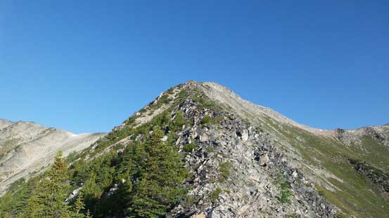 Higher up on the ridge