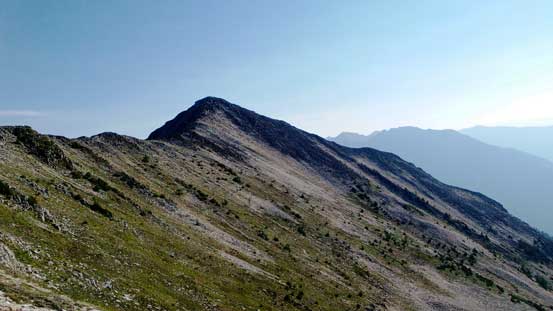 Looking back at my objective